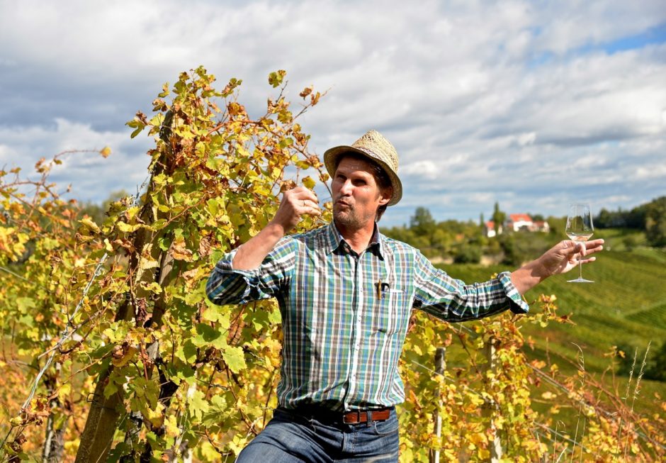 Biologischer Weinbau in der Südsteiermark